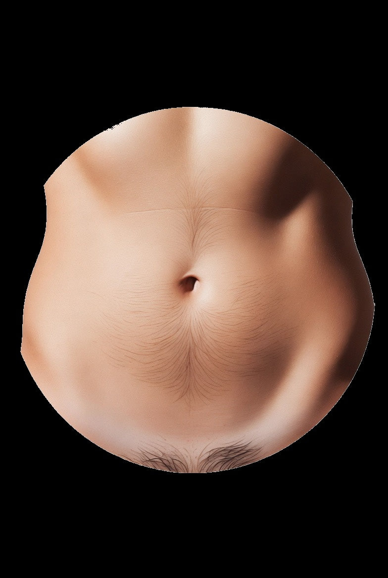Abdomen