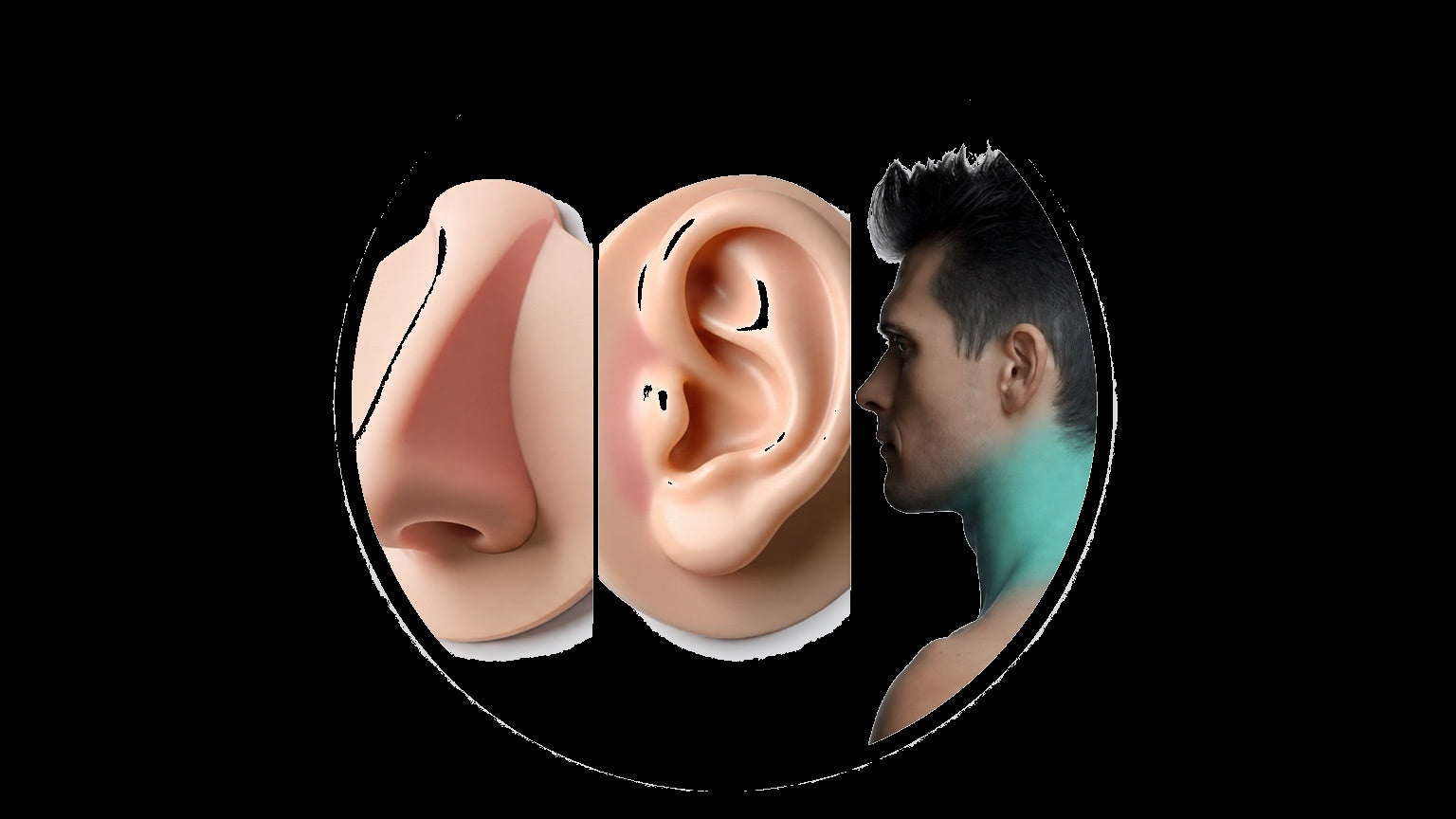 Paquete Cuello, Nariz y Orejas